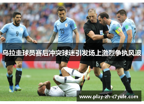乌拉圭球员赛后冲突球迷引发场上激烈争执风波 乌拉圭球员赛后冲突球迷引发场上激烈争执风波