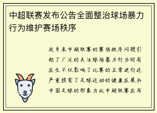 中超联赛发布公告全面整治球场暴力行为维护赛场秩序