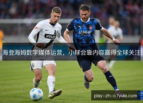 海登海姆数字媒体运营，小球会靠内容赢得全球关注